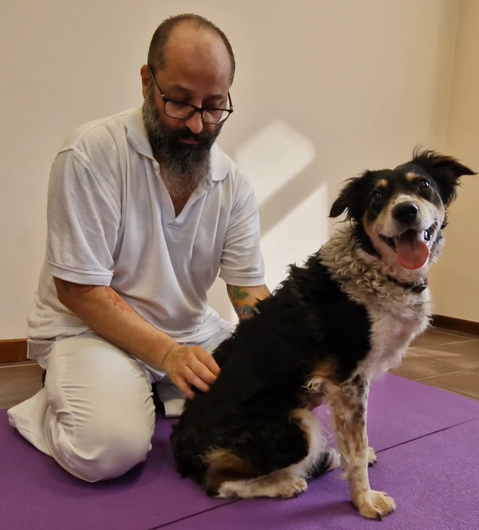 Tuina per gli Animali la mia esperienza