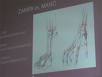 Studio di Medicina Tradizionale Cinese