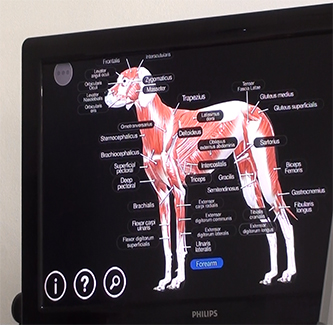 Studio di Medicina Tradizionale Cinese