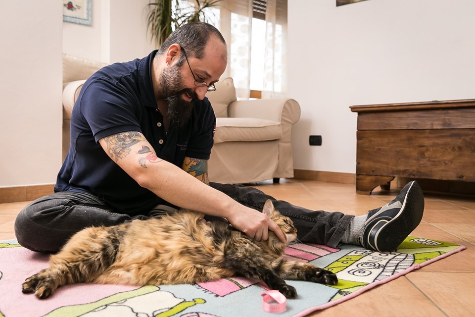 Conferenza: Conosciamo il TuiNa - Massaggio Tradizionale Cinese per Cani, Gatti e Umani...