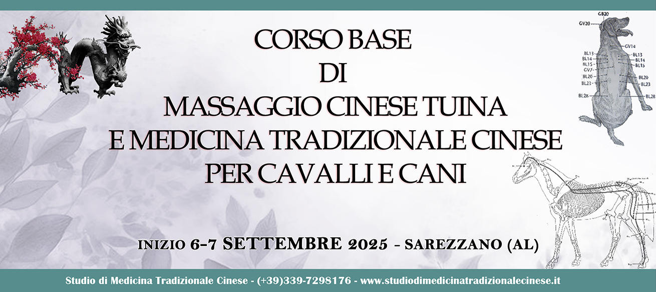 Corso Base di Massaggio Cinese TuiNa e Medicina Tradizionale Cinese per Cavalli e Cani - 2025-2026 - Sarezzano (AL)