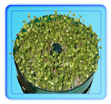 MTCFood Widget