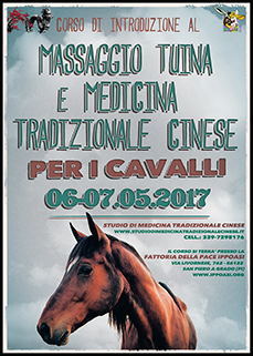 Corsi di Introduzione Tuina Cavalli
