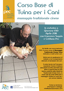Corsi di Tuina Cani