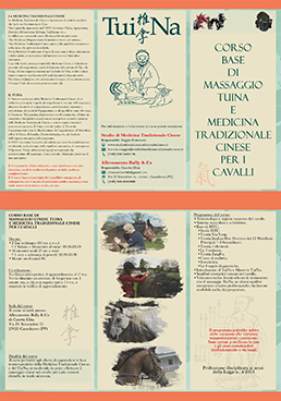 Corsi di Tuina Cavalli